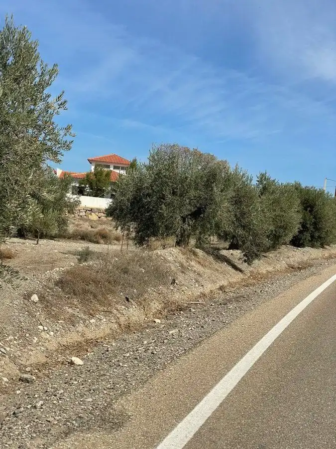 Rural land for sale in Huércal-Overa, imagen 5