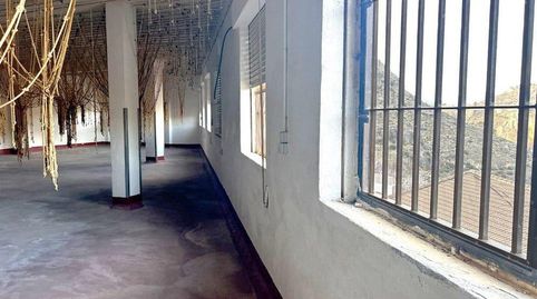 Oportunidad única de inversión industrial en Colomera Granada, imatge 2