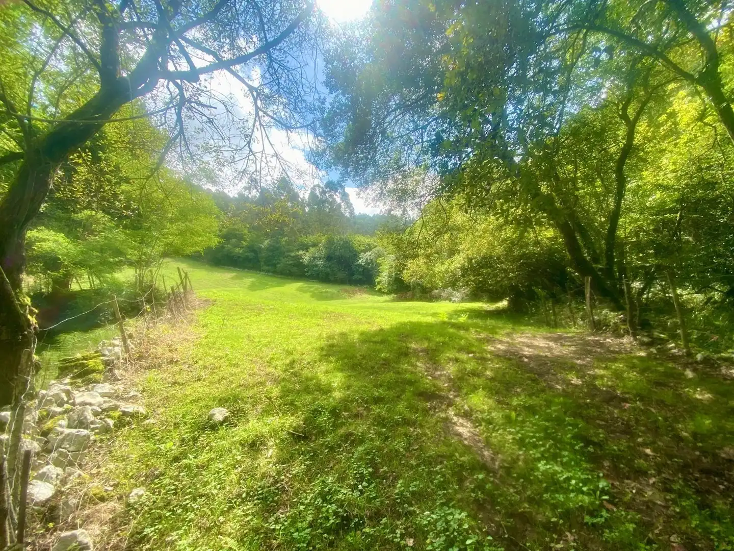 Terreny rústic en venda a Barrio San Millán, imagen 3