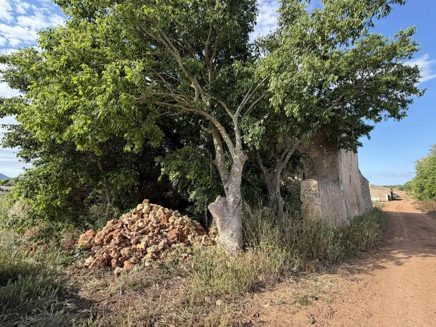 Country homes for sale in Manacor