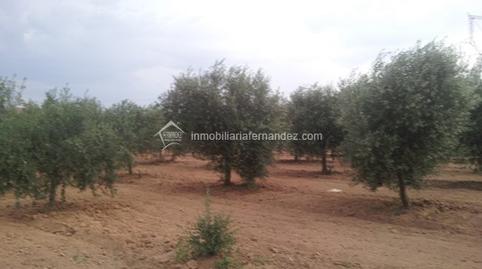 Photo 5 of House or chalet for sale in Zarza de Montánchez, Cáceres