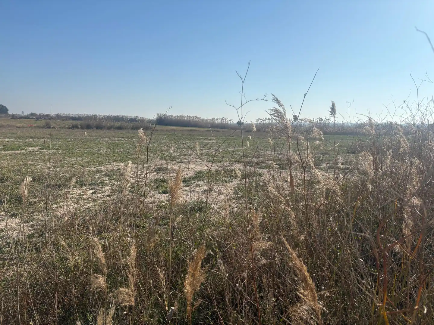 Terrain rustique à vendre à La Foia - Daimés - Asprella, imagen 26