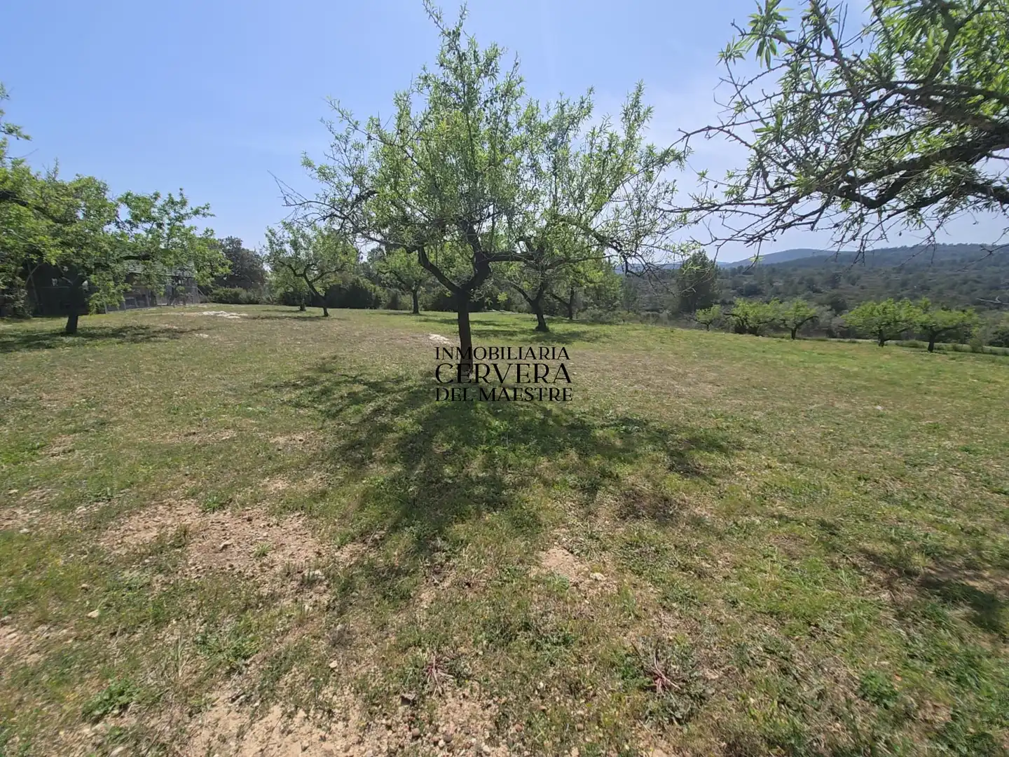 Finca rústica en venda en Cervera del Maestre