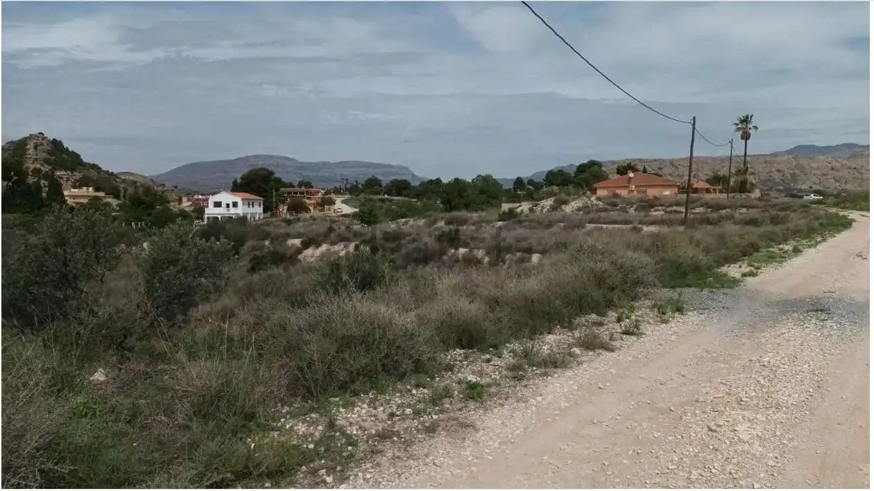 Terrain résidentiel à vendre à Agost, imagen 4