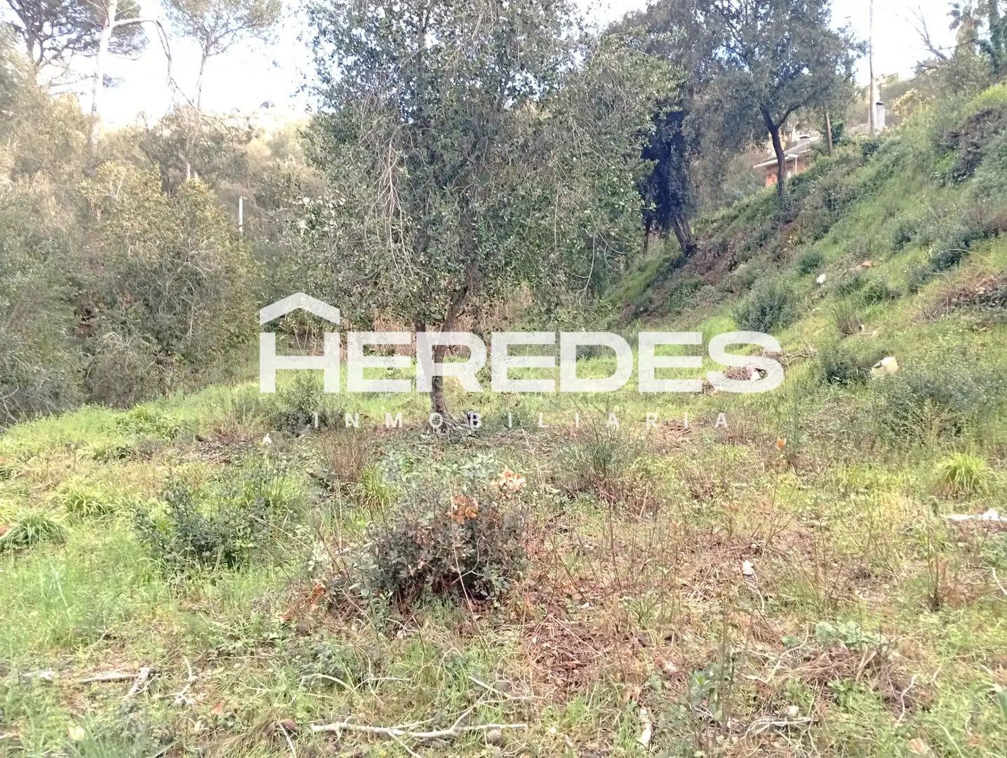 Terreno residencial en venta en Carrer Finestrelles 4, imagen 8