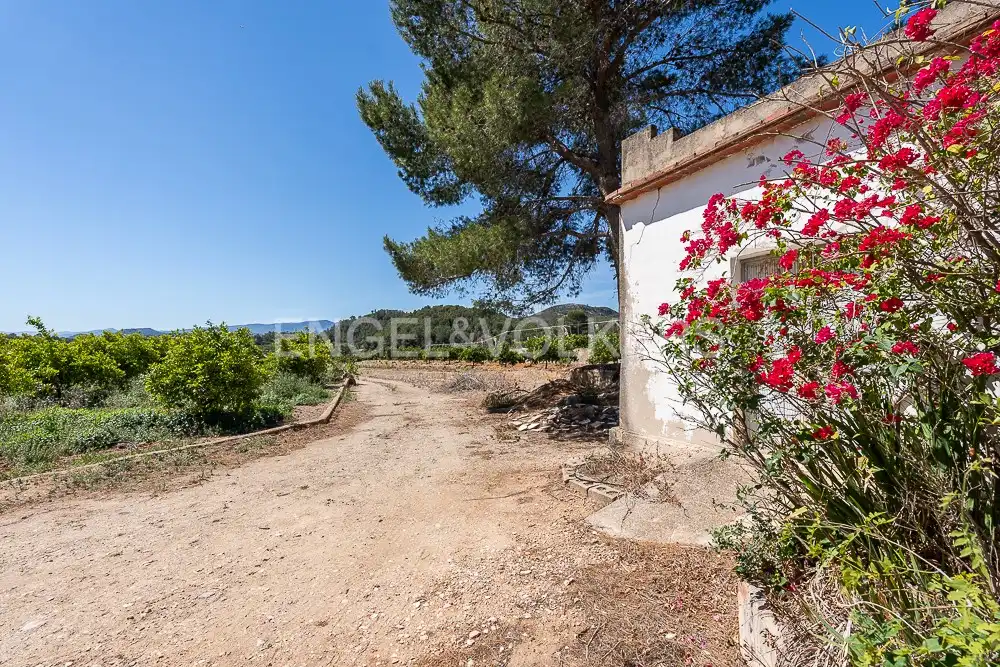 Terrenys i solars en venda a Palma de Gandia, imagen 15