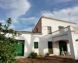 Exterior view of Country house for sale in Moncada  with Private garden