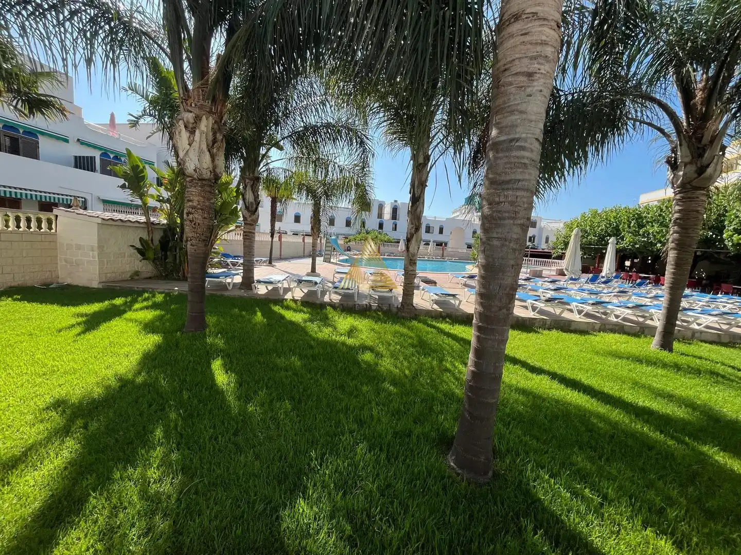 Appartement compact avec piscine à vendre à Playa Norte, imagen 12