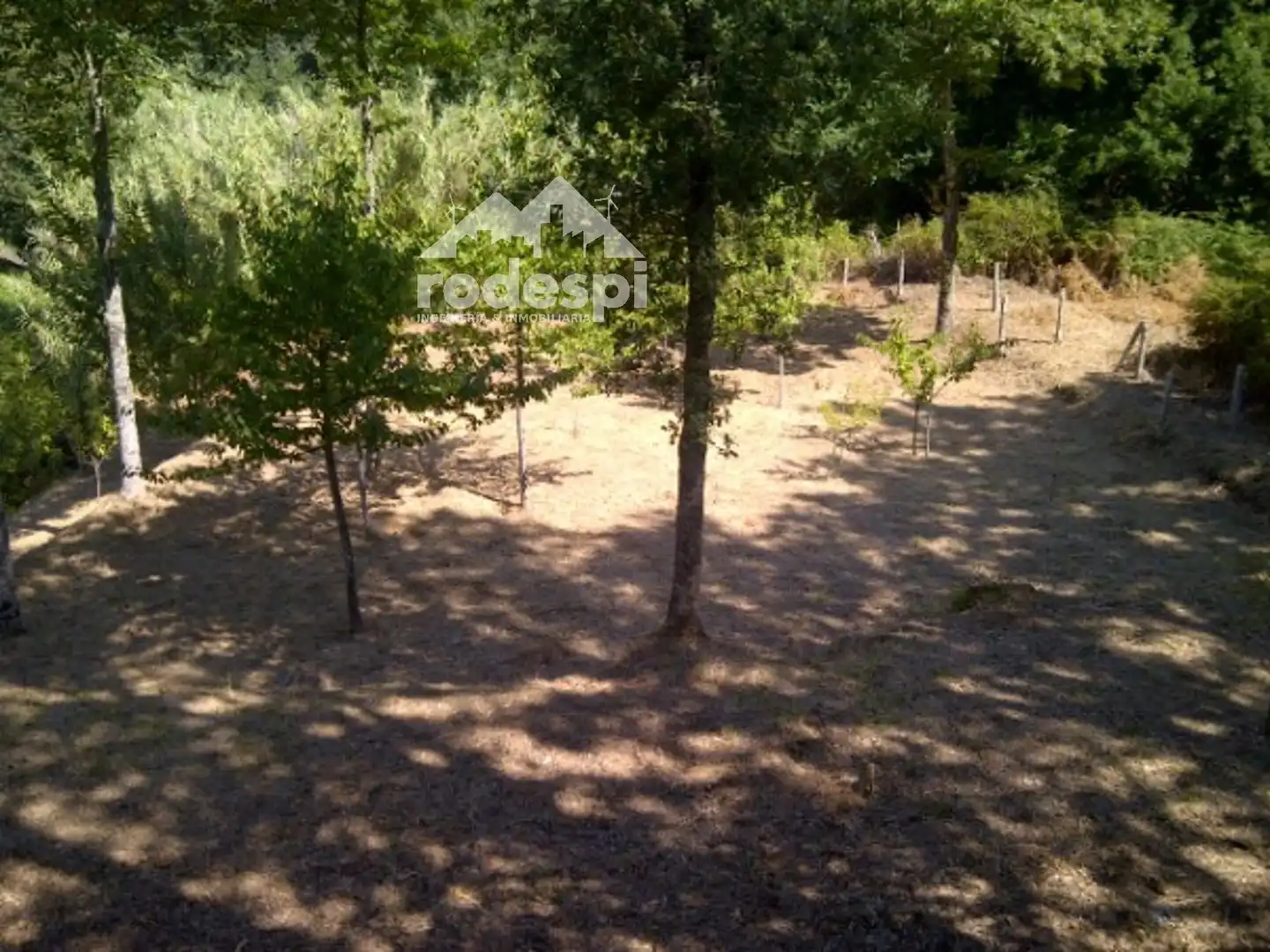 Terreny rústic en venda a A Cañiza