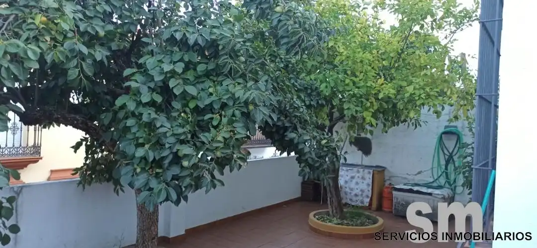Haus zum Verkauf in Cortes de la Frontera, imagen 23