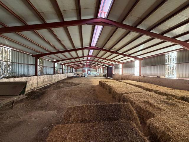 Nave industrial en Venta en N/A, -1 en Sangarcía