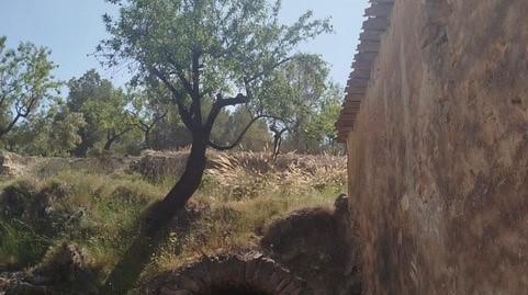 Foto 5 de Finca rústica en venda a Partida Surques, Relleu, Alicante