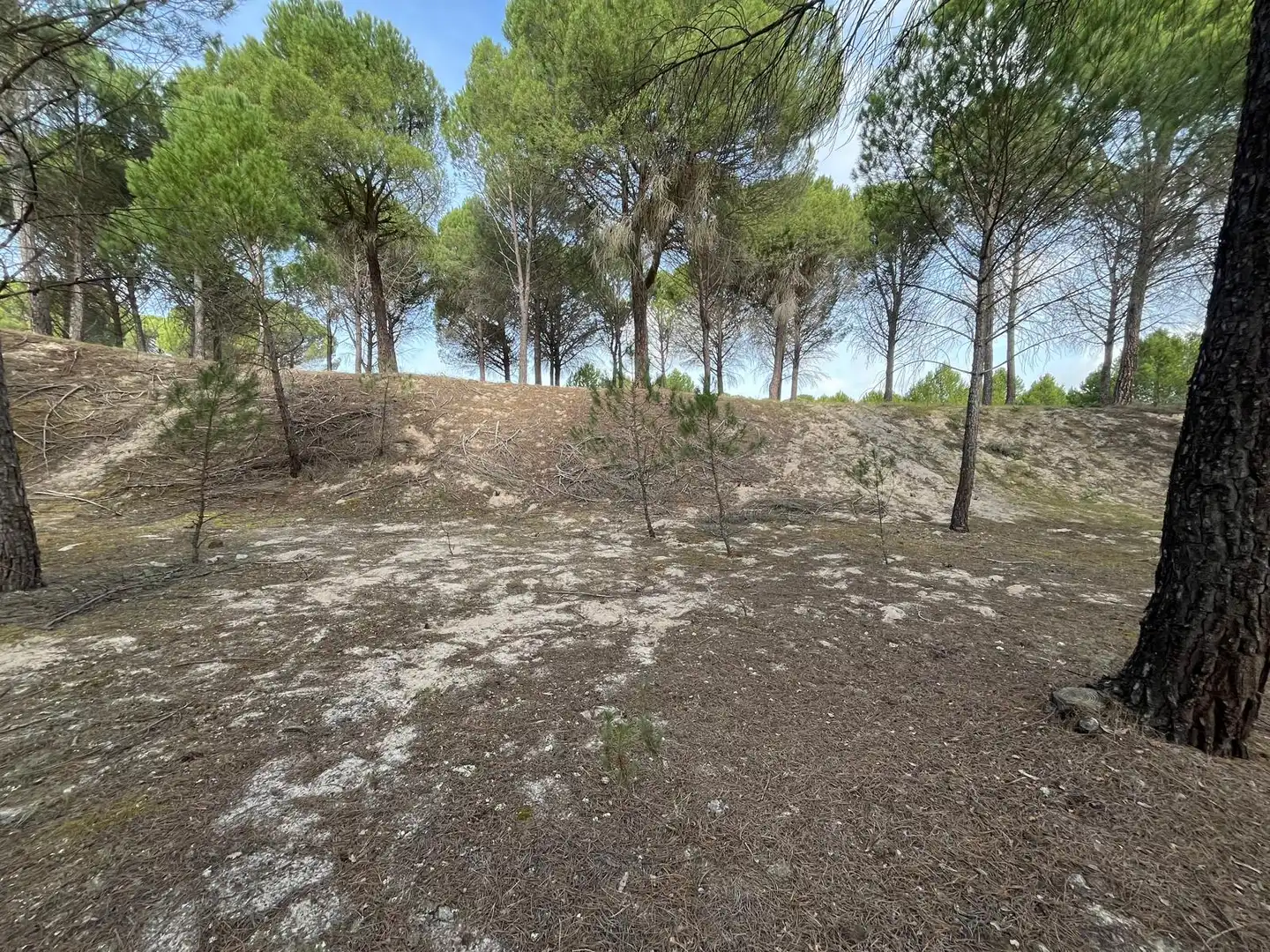 Terreno en venta en Tudela de Duero