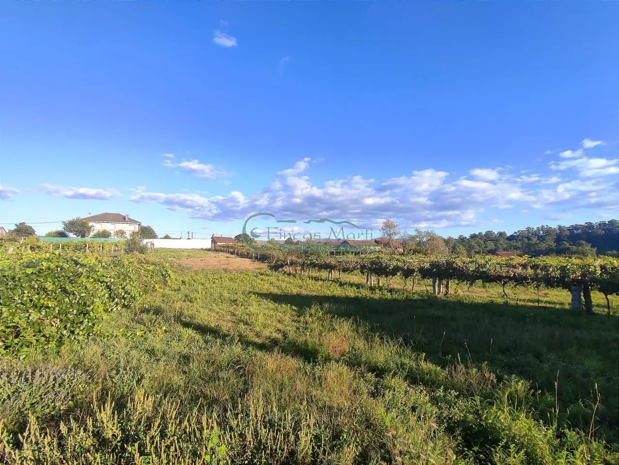 Terreny residencial en venda a ALXEN, imagen 6