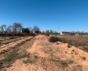 Terreny en venda a Partida Placita D'Estepar, 101, Corral Nou - Montros - Estepar