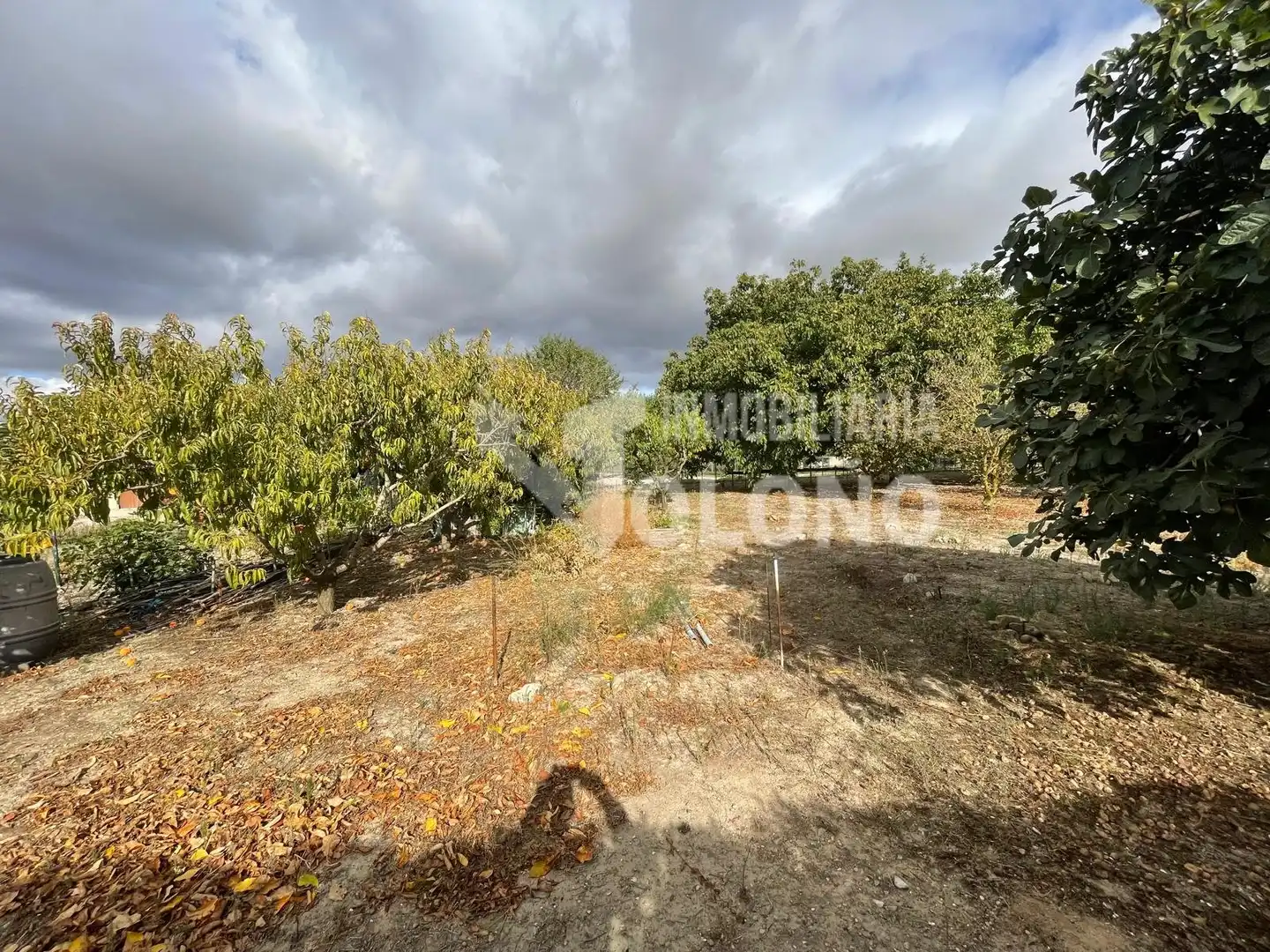 Maison rustique avec jardin à vendre à Calle Zarra 11, imagen 42