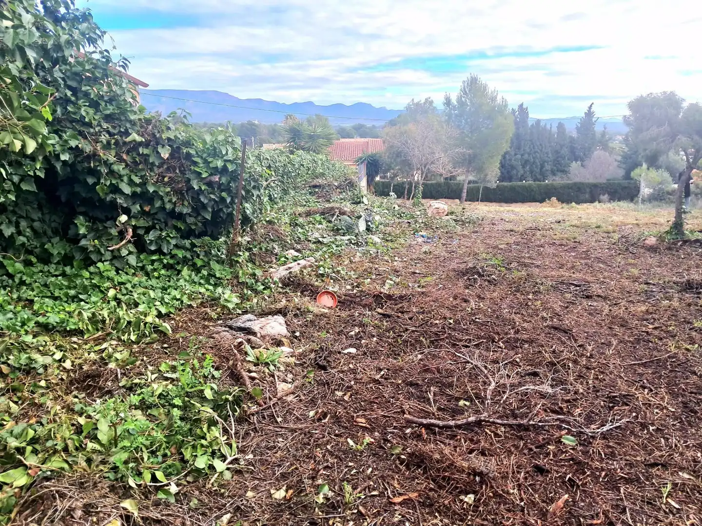 Terrenos y solares en venta en Calle El Pedregal, imagen 10