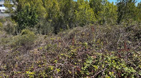 Foto 3 de Residencial en venda a Carrer Planetes, Mas Borràs - Coto del Rey, Tarragona