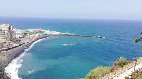 Foto 2 de Estudio de alquiler en Zona Botánico, Puerto de la Cruz