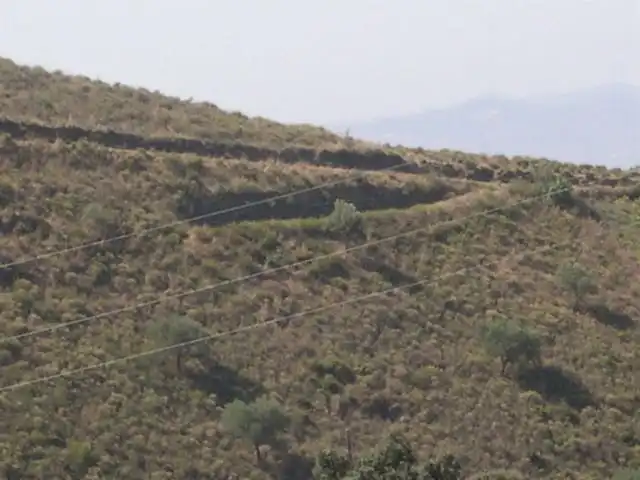 Terreni e lotti in vendita a Sedella, imagen 3