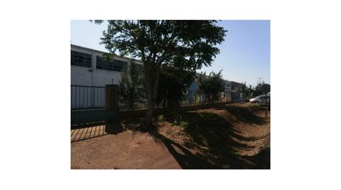 Photo 3 of Industrial buildings for sale in Nuevo Cáceres, Cáceres