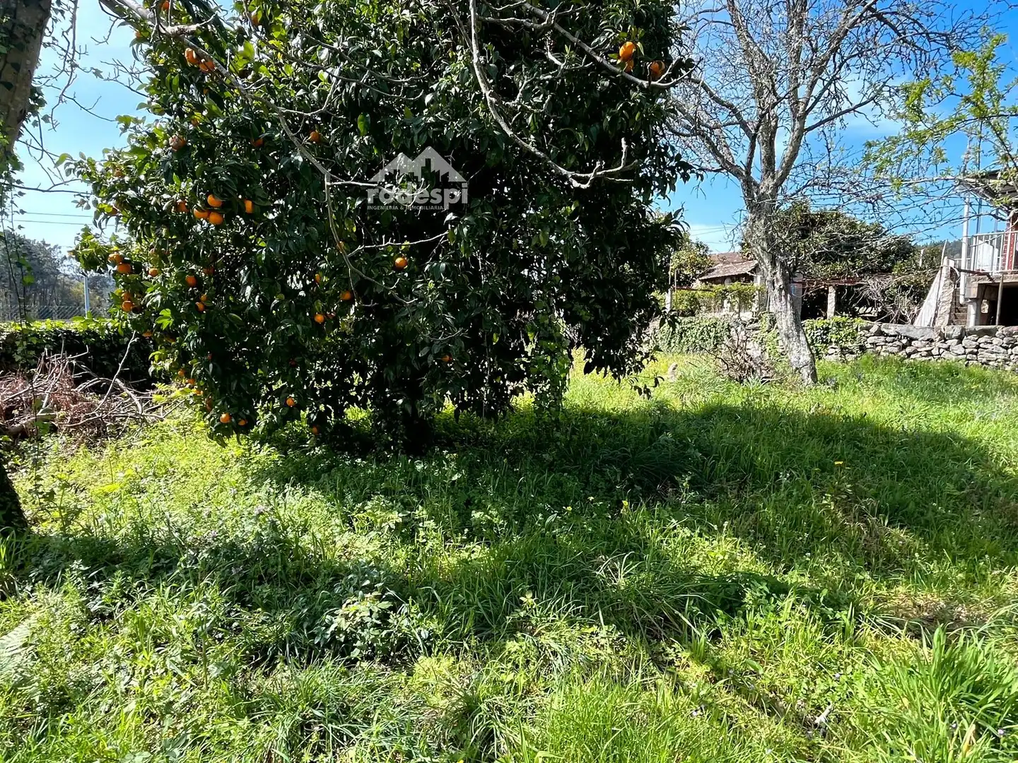Rural land for sale in Arbo, imagen 6