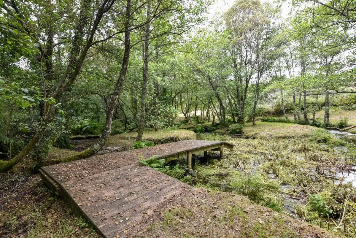 Jardí de Casa o xalet en venda en Mondariz amb Jardí privat, Terrassa i Traster