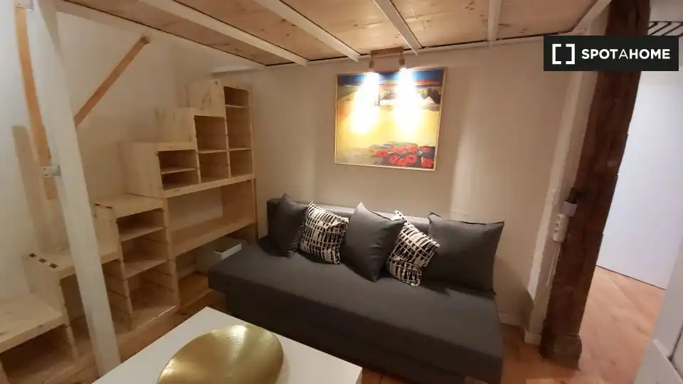 Living room of Study for share in Madrid  with Air Conditioner, Heating and Terrace