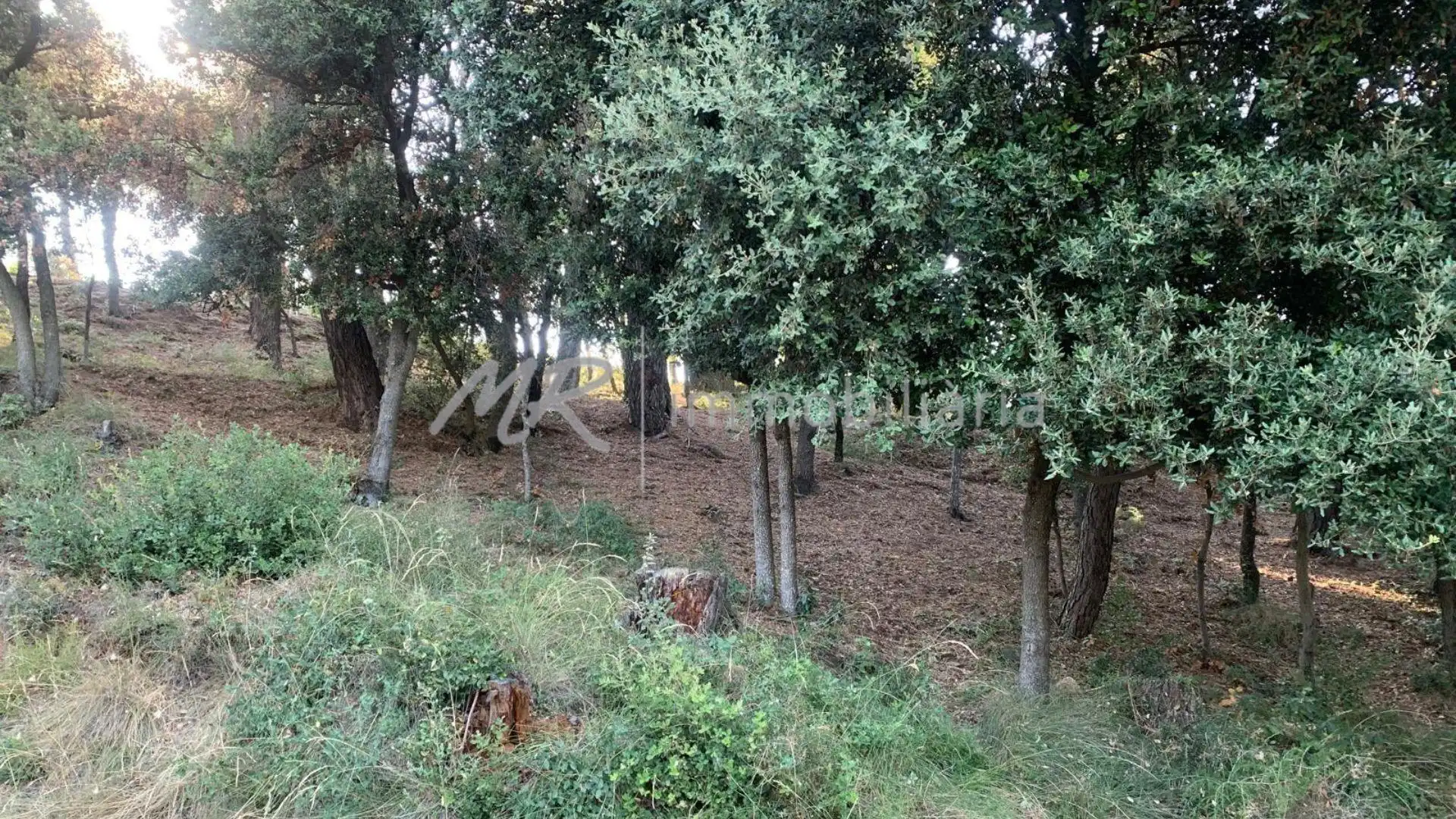 Terreny residencial en venda a Cànoves I Samalús, imagen 4