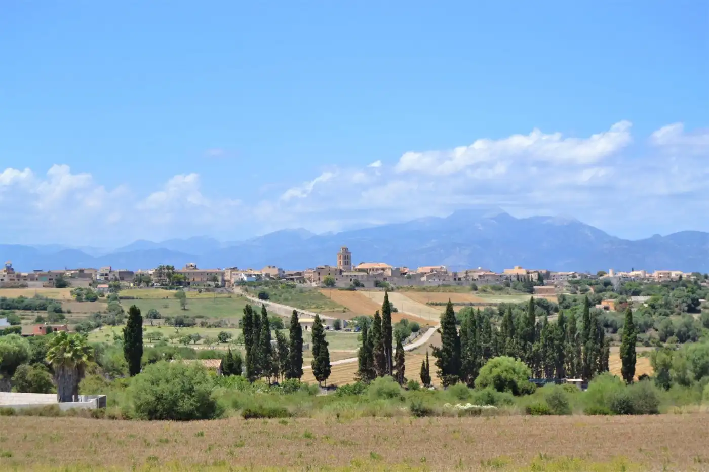 House with terrace for sale in Muro, imagen 37
