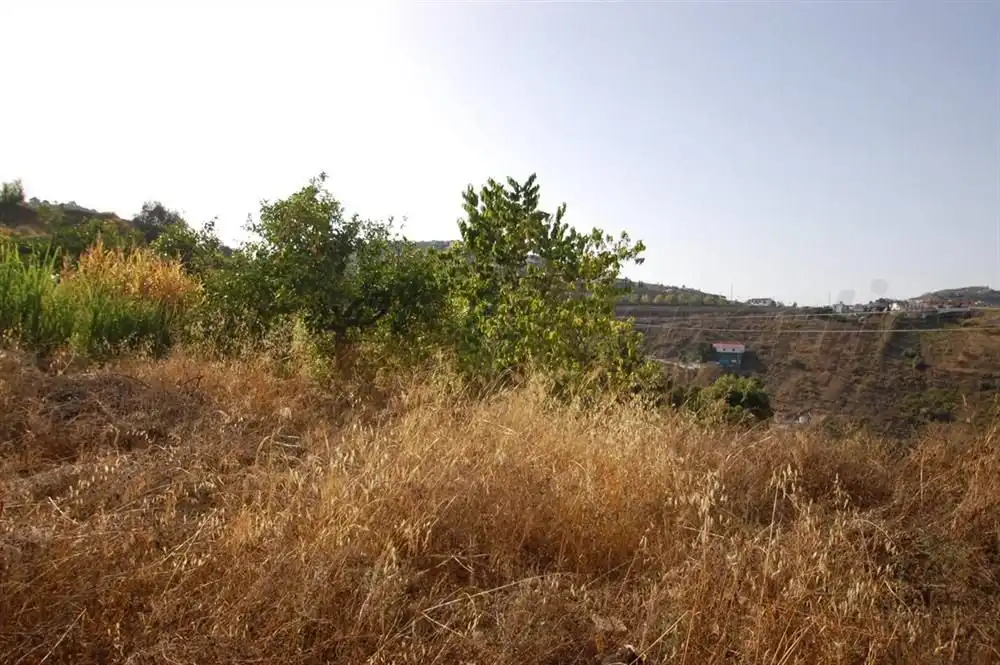 Terreno rustico in vendita a Salares, imagen 3