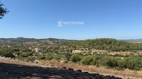 Casa con terreno en venta en Manacor, Son Macià  Oportunidad única, imatge 5