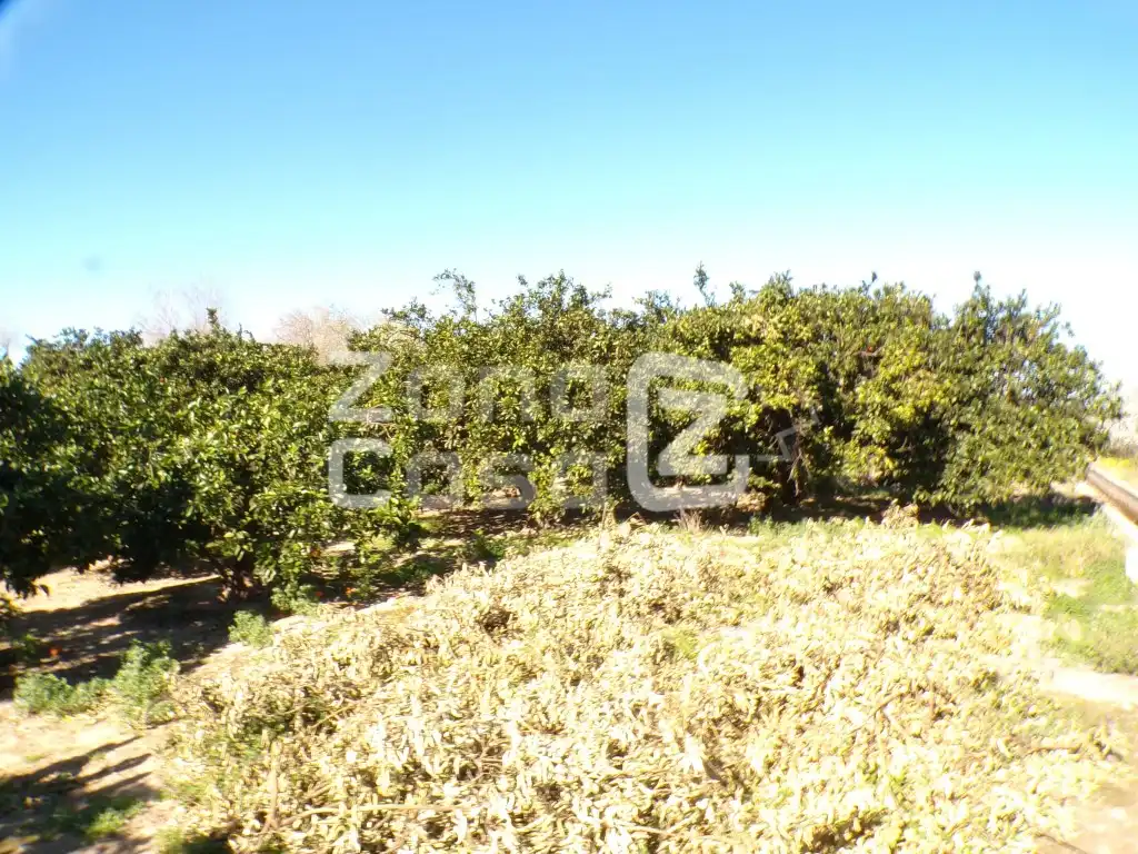 Maison rustique à vendre à Partida Torreta La, imagen 3