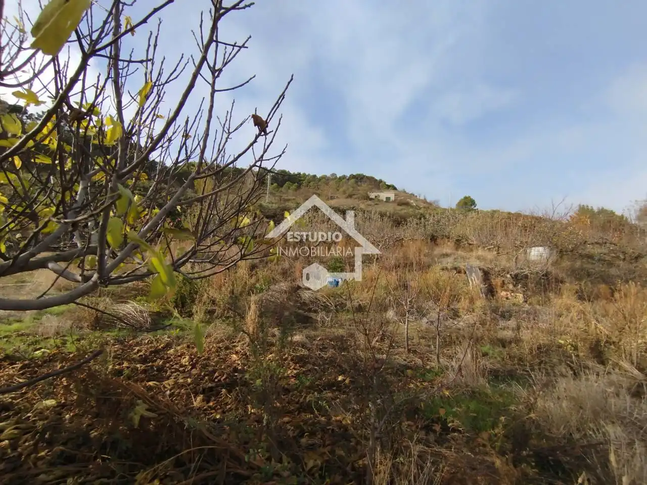 Rural land for sale in Calle Arbanta, imagen 24