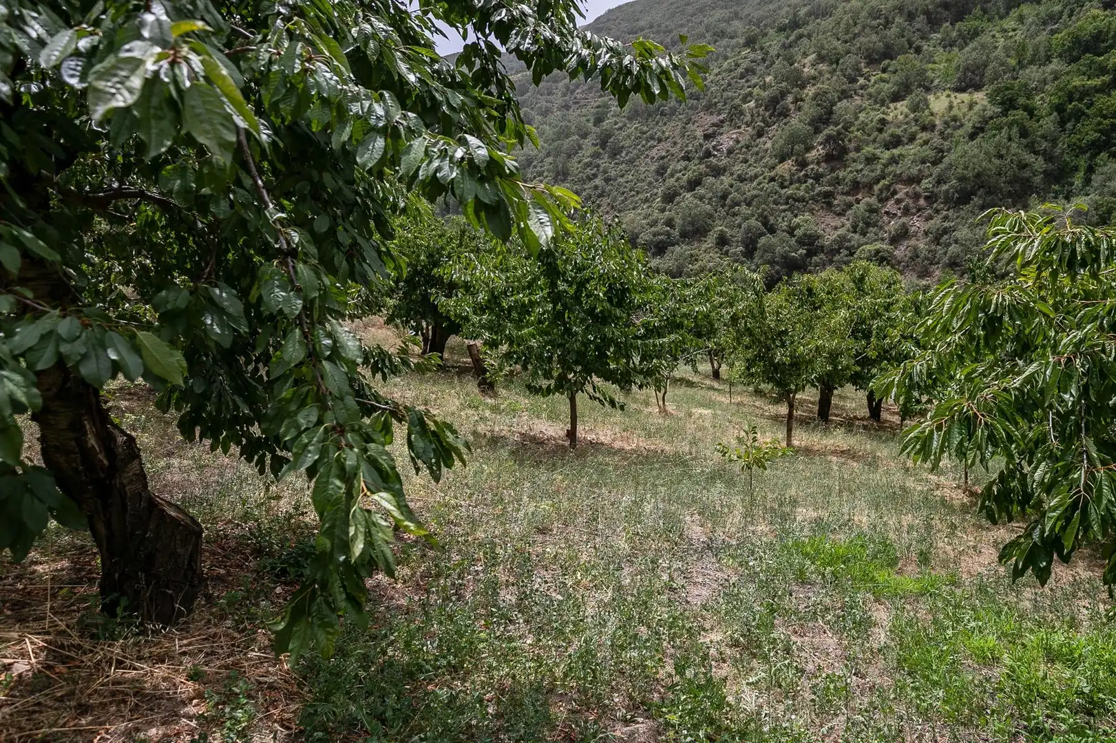 Terreni e lotti in vendita a Majadillas, imagen 47