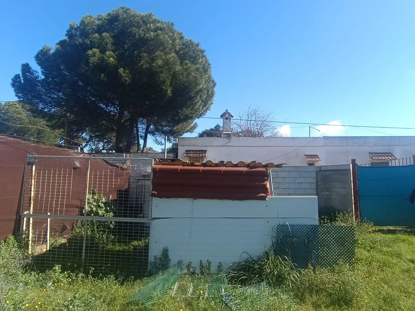 Terreni e lotti in vendita a Castilblanco de los Arroyos, imagen 19