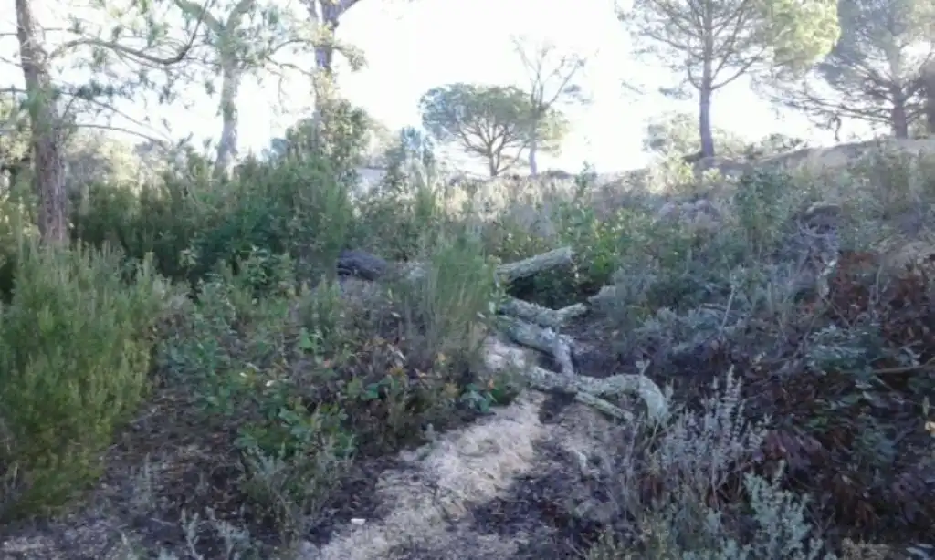 Wohnbaugrundstück zum Verkauf in Lloret Residencial - Montlloret, imagen 3
