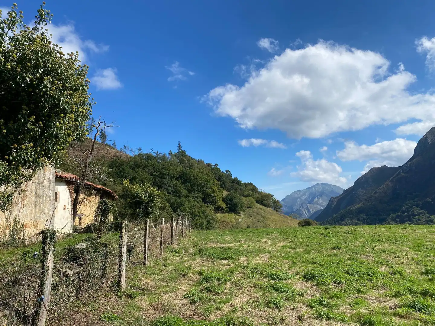 Maison avec jardin à vendre à Tresmonte, imagen 74