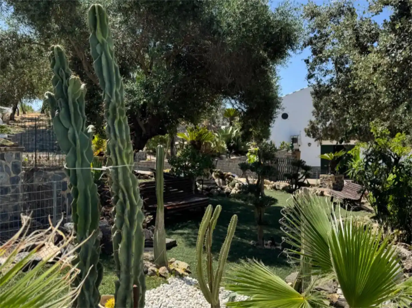 Jardín de Finca rústica en venta en El Madroño con Aire acondicionado, Jardín privado y Parquet