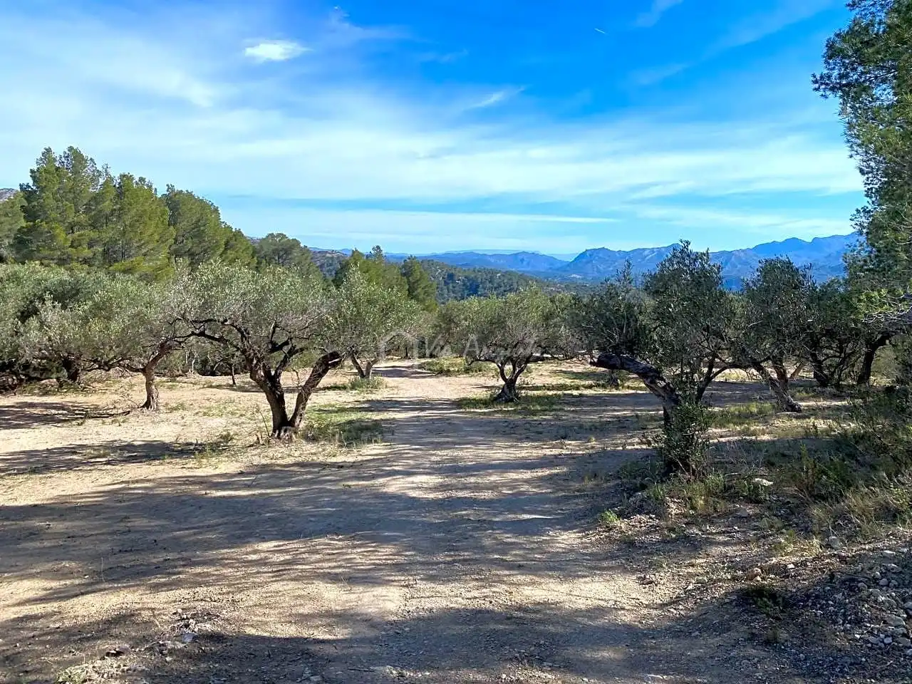 Terrain rustique à vendre à La Baixada, imagen 25