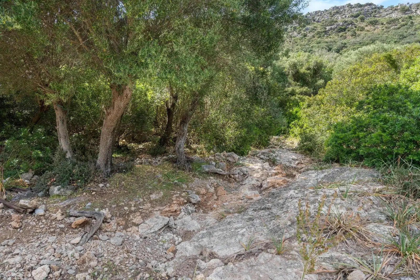 Terreny residencial en venda a Ciutat d'Alcúdia, imagen 12