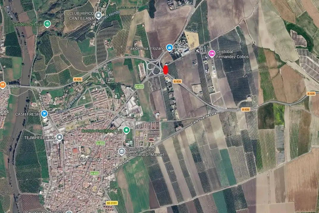 Terreni e lotti in vendita a Cantillana, imagen 12