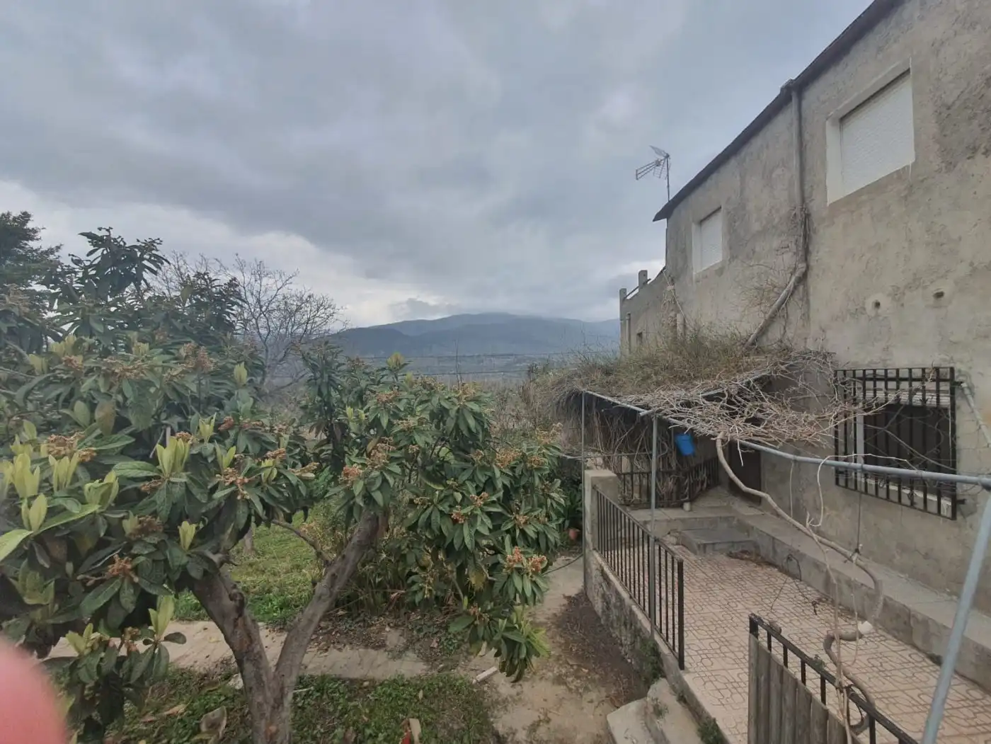 Finca rústica en venda en Fondón
