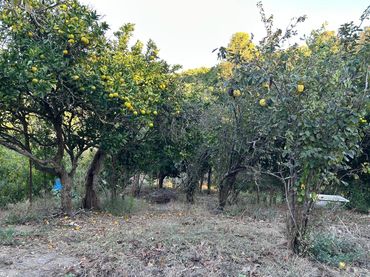Rustikales Grundstück zum Verkauf in Vejer