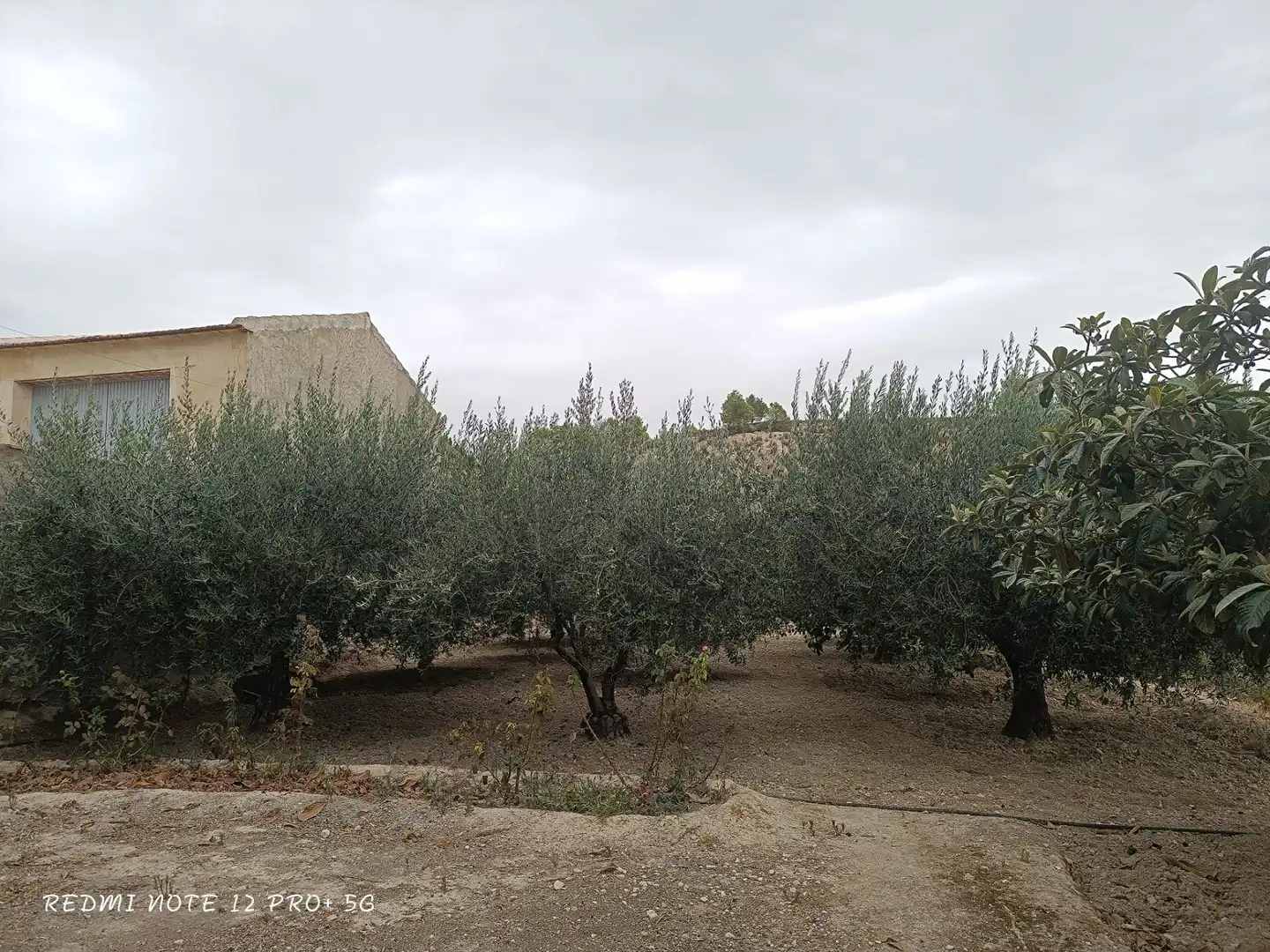Haus zum Verkauf in Camino de la Balsa, imagen 8