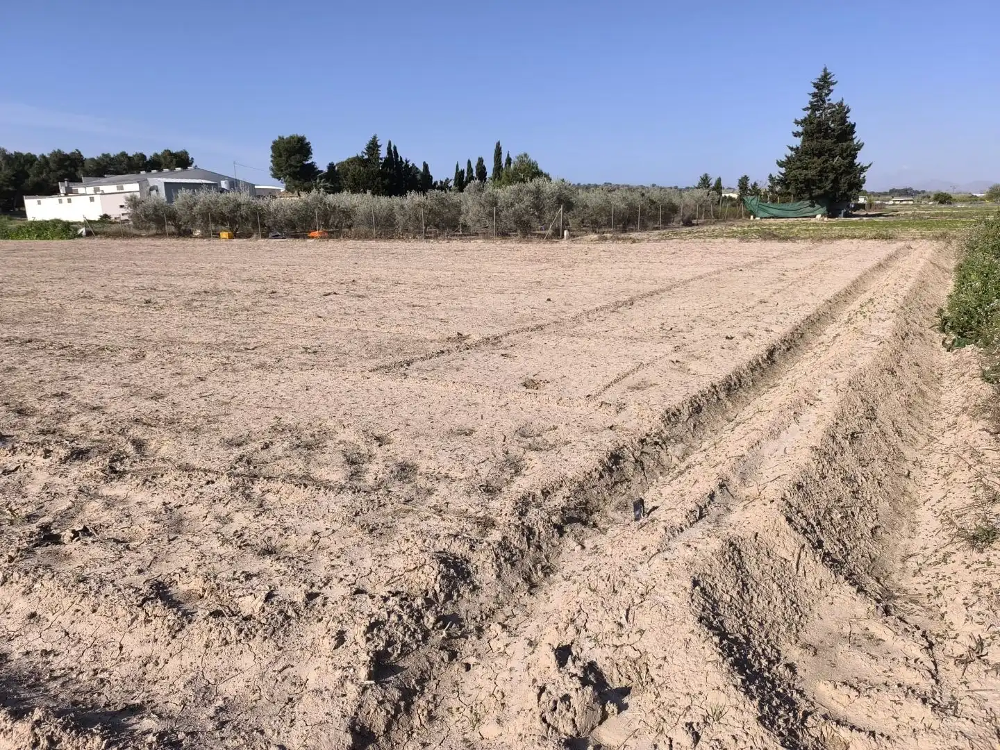 Terreno en venta en Benijófar