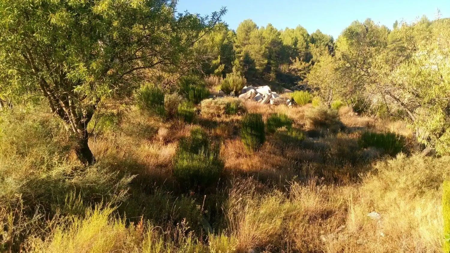 Residencial en venta en Nerpio