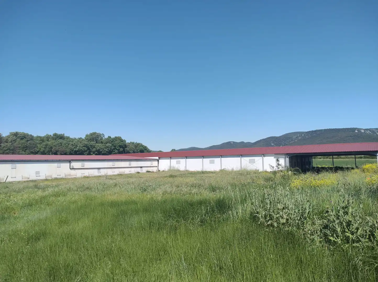 Exterior view of Industrial buildings for sale in Zúñiga