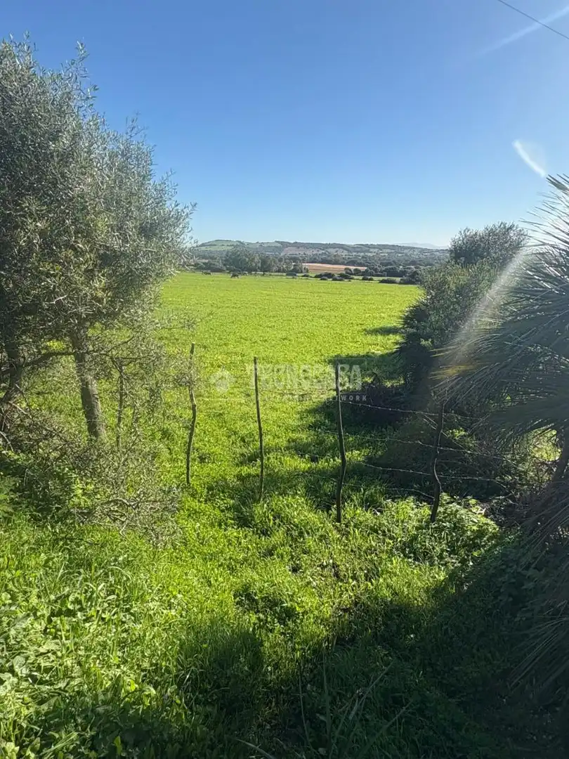 Terrain rustique à vendre à Vejer, imagen 21