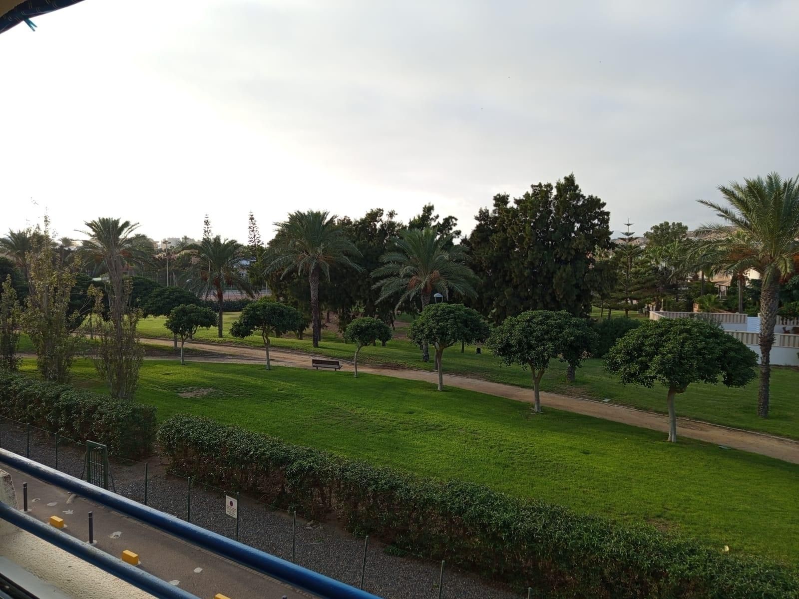 Vista exterior de Estudi de lloguer en El Ejido amb Aire condicionat, Calefacció i Terrassa